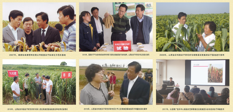 國家、省、市專家指導標準化示范區建設